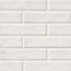 MSI Brickstone White NCAPWHIBRI2X10